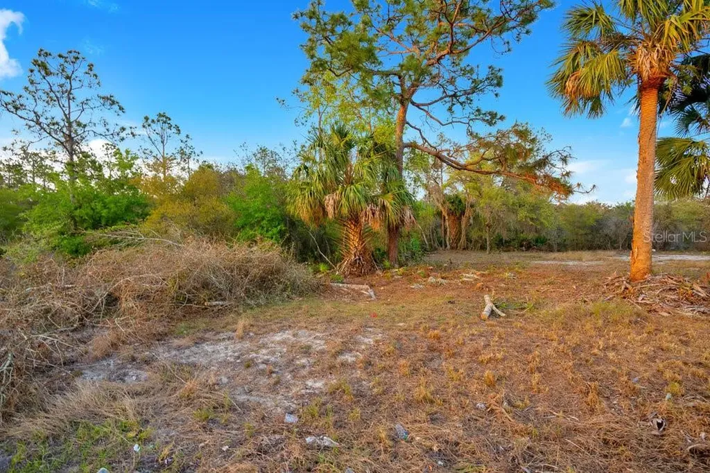 1411 Sarasota Court Poinciana FL 34759