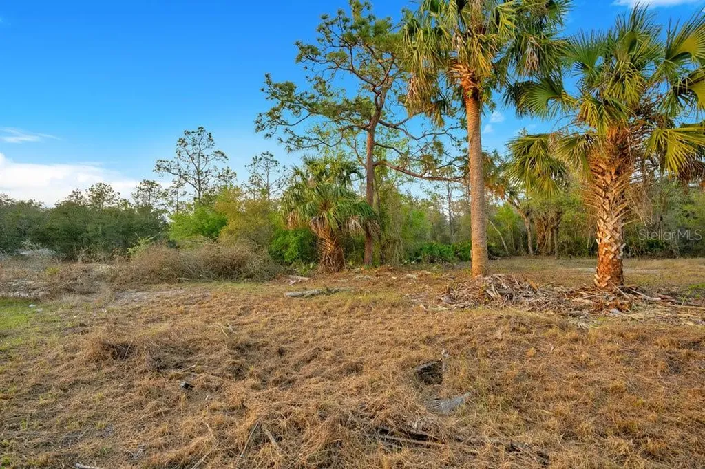 1411 Sarasota Court Poinciana FL 34759