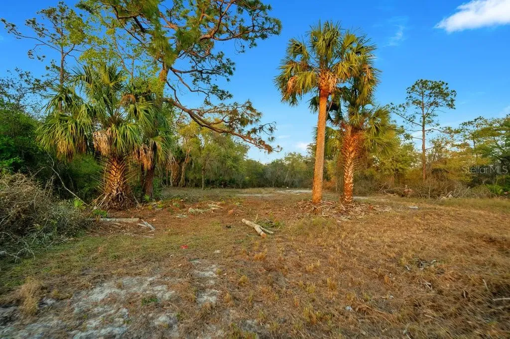 1411 Sarasota Court Poinciana FL 34759