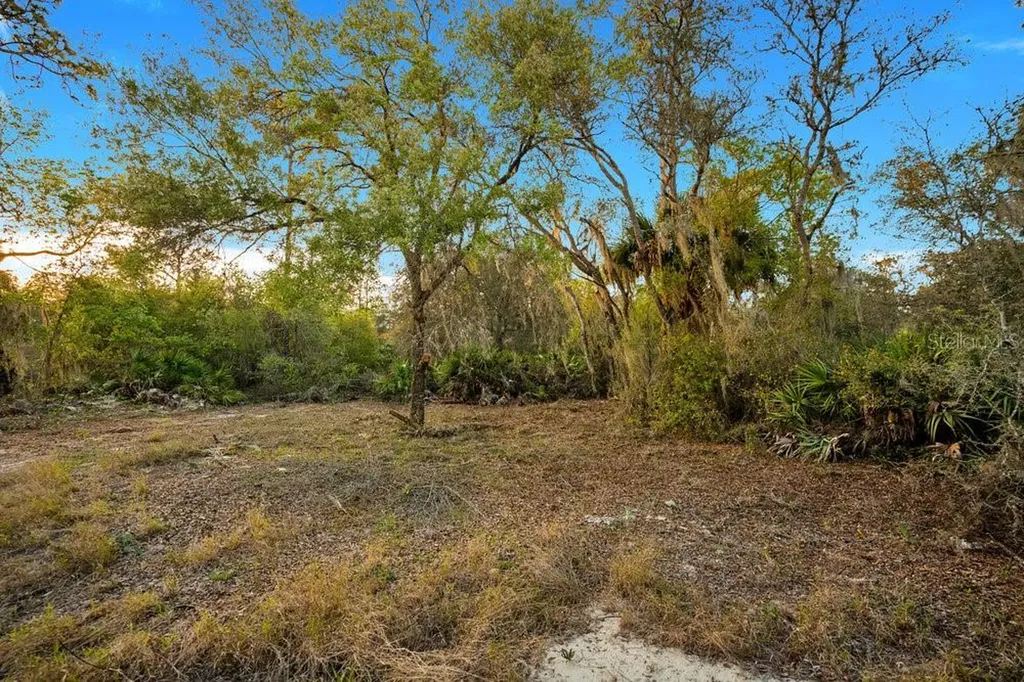 1411 Sarasota Court Poinciana FL 34759