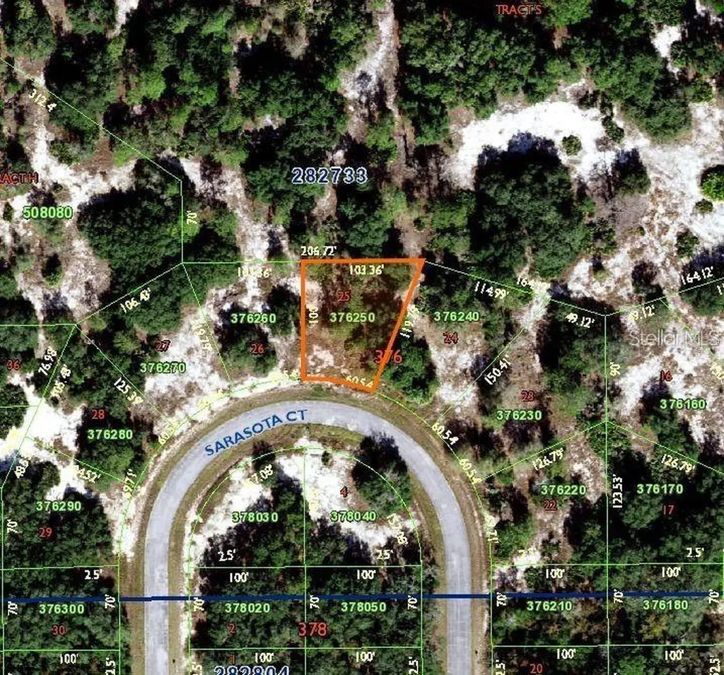 1411 Sarasota Court Poinciana FL 34759