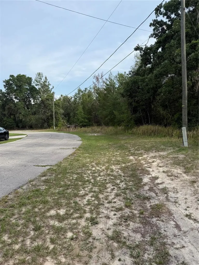 Tbd SW 128th Place Ocala FL 34473