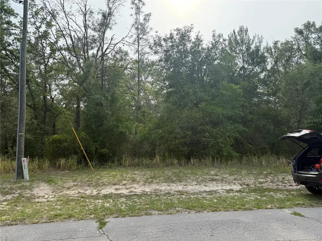 Tbd SW 128th Place Ocala FL 34473
