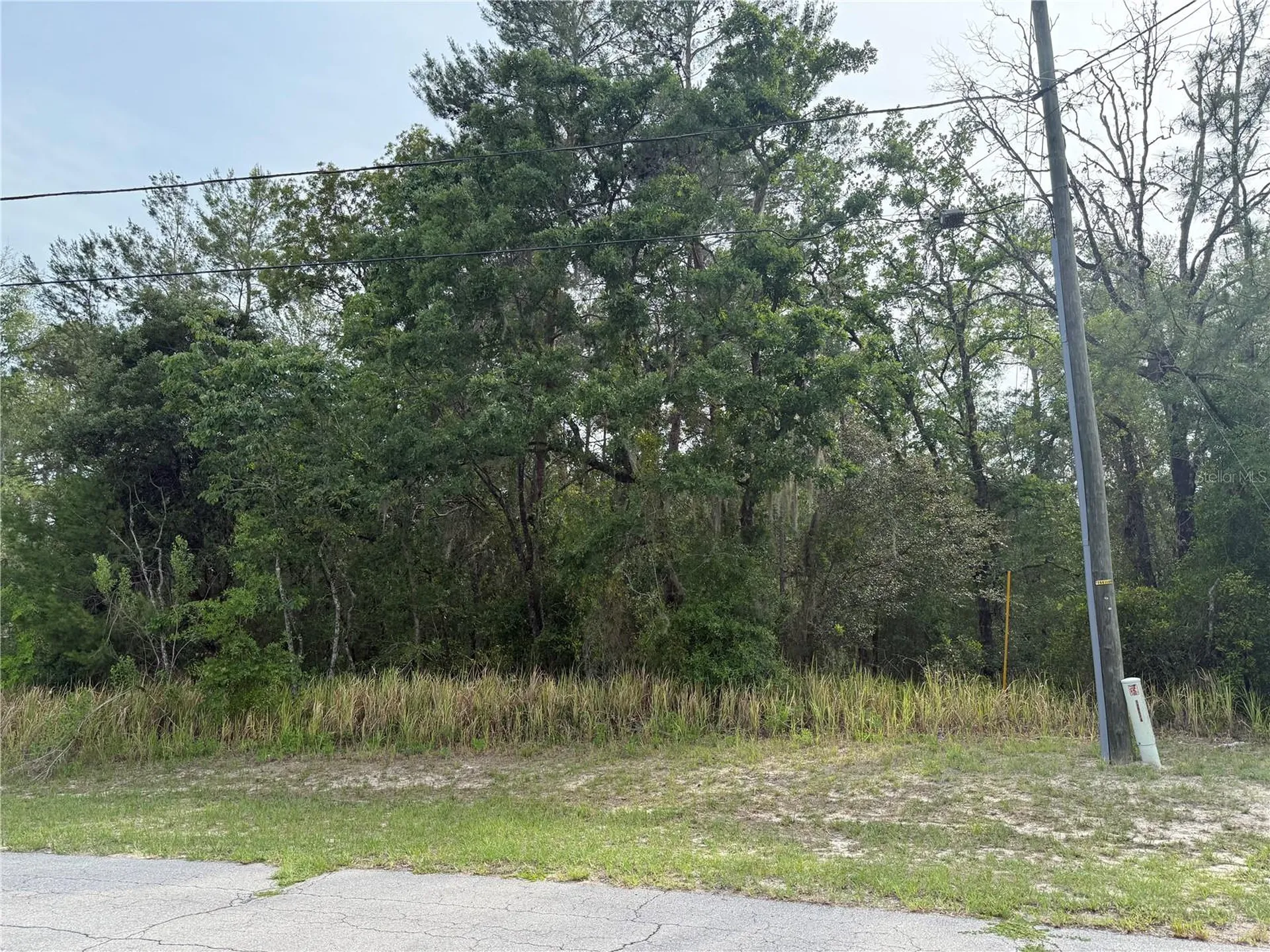 Tbd SW 128th Place Ocala FL 34473