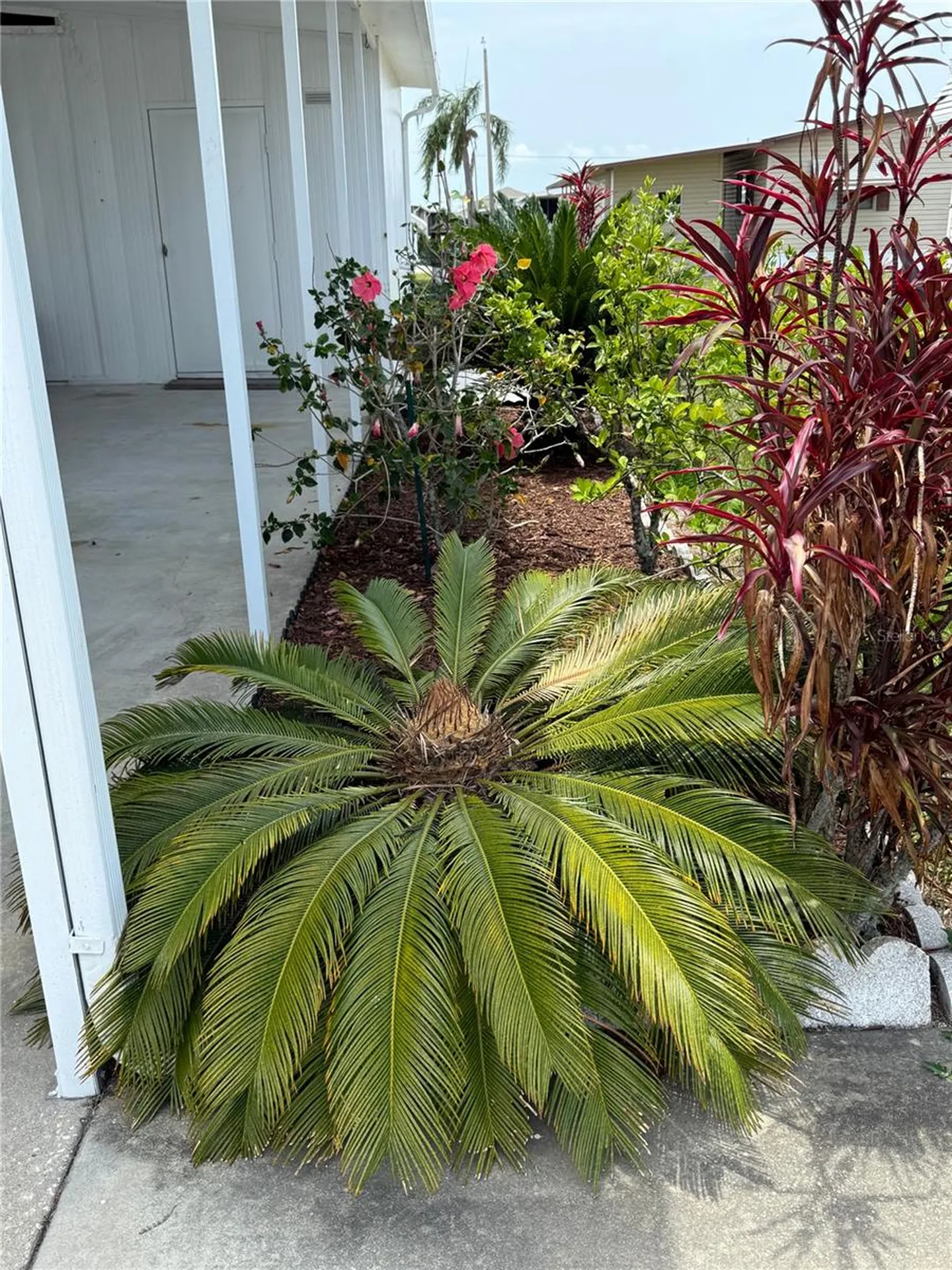 9003 30th Avenue E Palmetto FL 34221