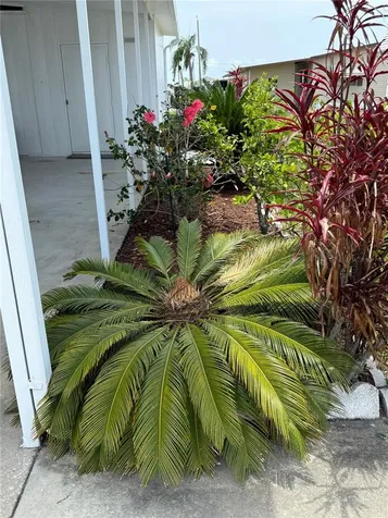 9003 30th Avenue E Palmetto FL 34221