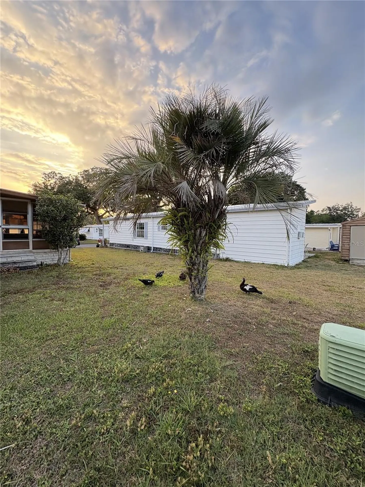 6306 Waterfront Lane Zephyrhills FL 33542