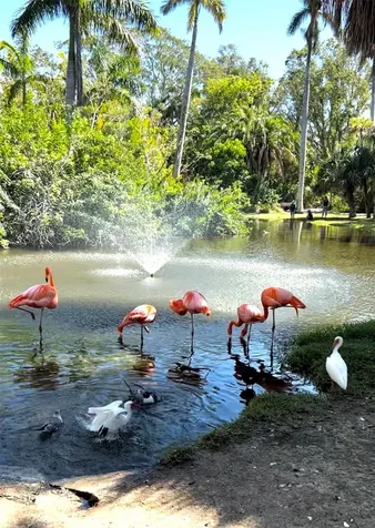 168 Rotonda Boulevard E Rotonda West FL 33947