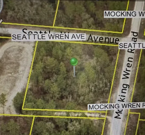11288 Seattle Wren Avenue Weeki Wachee FL 34614