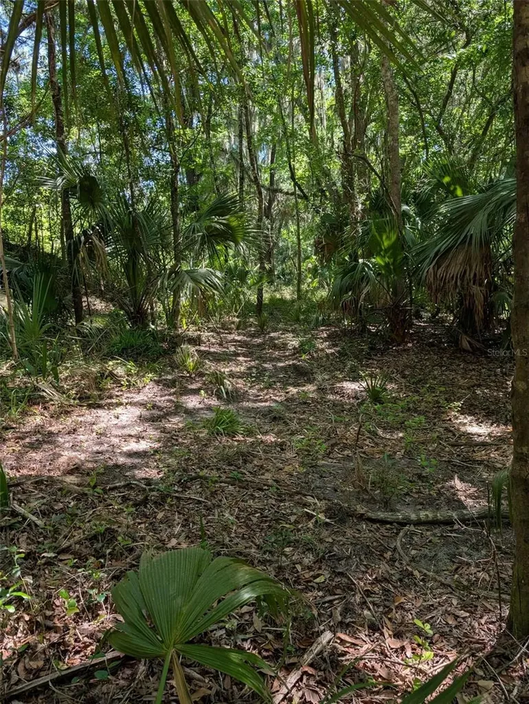 0 NW 202nd Place Mc Intosh FL 32664