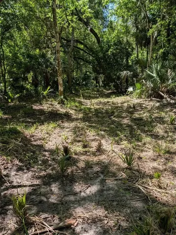 0 NW 202nd Place Mc Intosh FL 32664