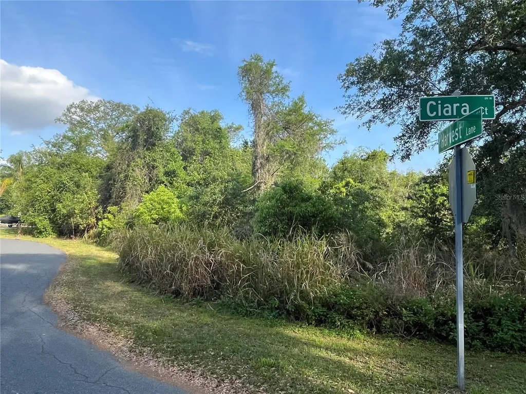 Harvest Lane Kissimmee FL 34744
