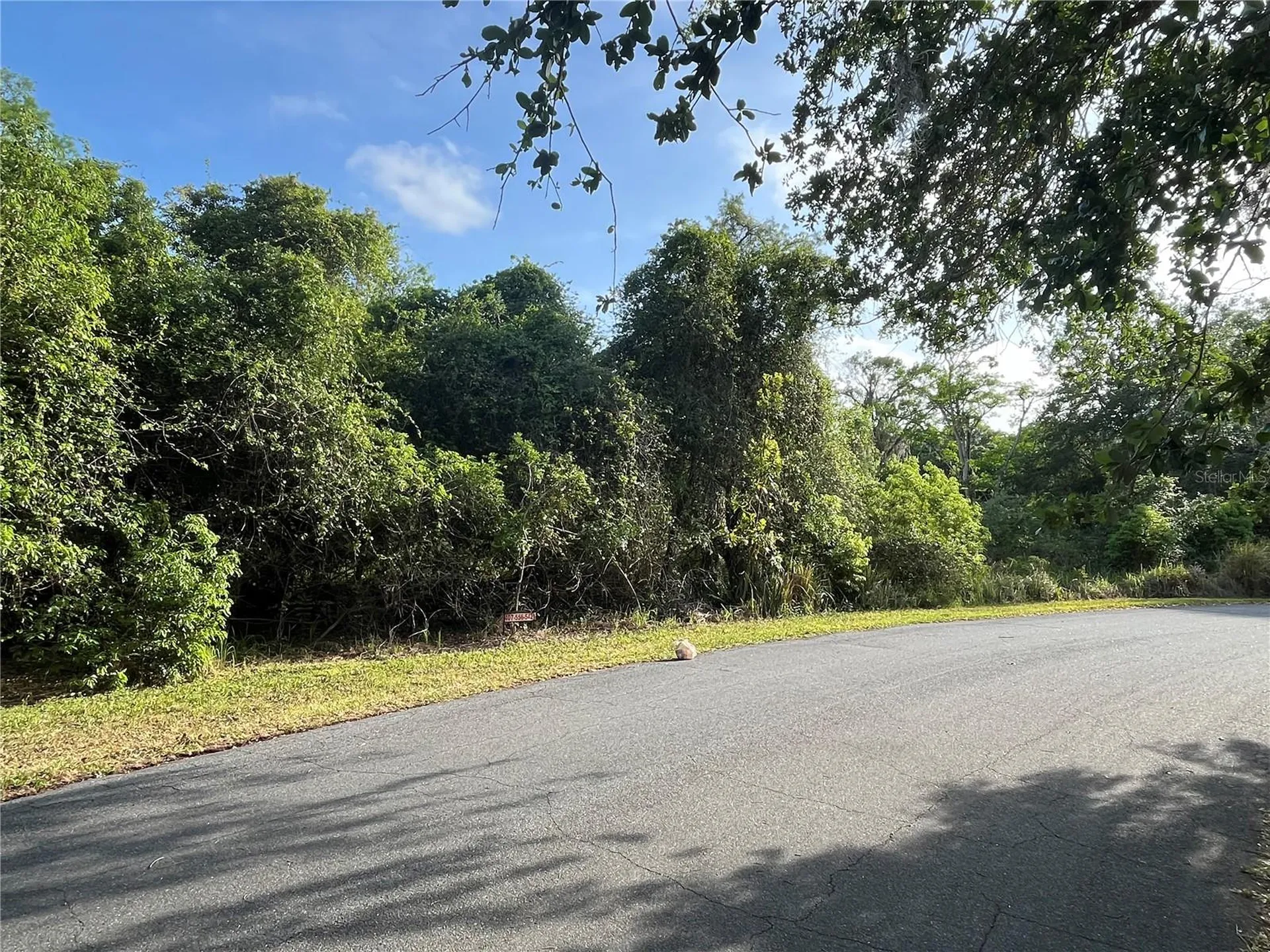 Harvest Lane Kissimmee FL 34744