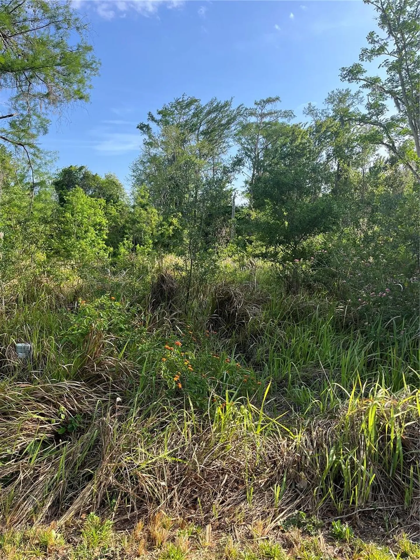 Harvest Lane Kissimmee FL 34744