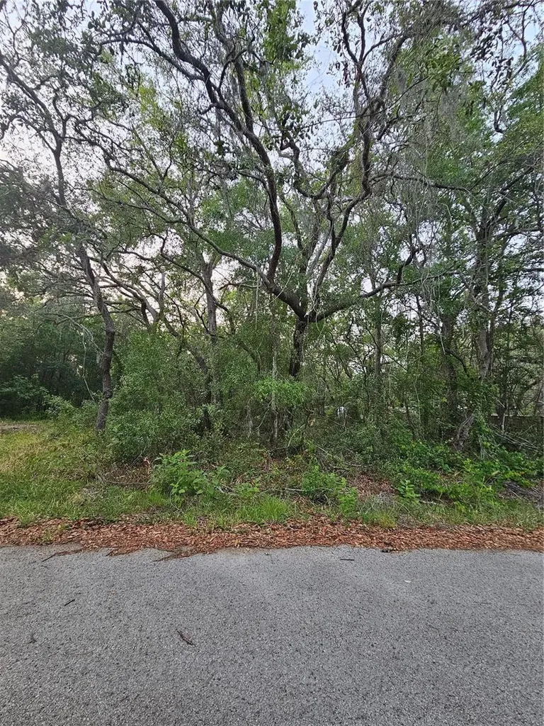 00 Doaks Street New Port Richey FL 34654