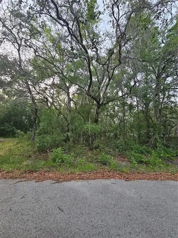 00 Doaks Street New Port Richey FL 34654