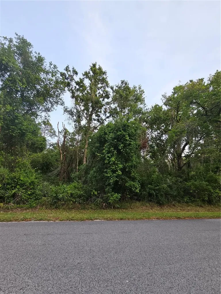 00 Gurnee Avenue New Port Richey FL 34654