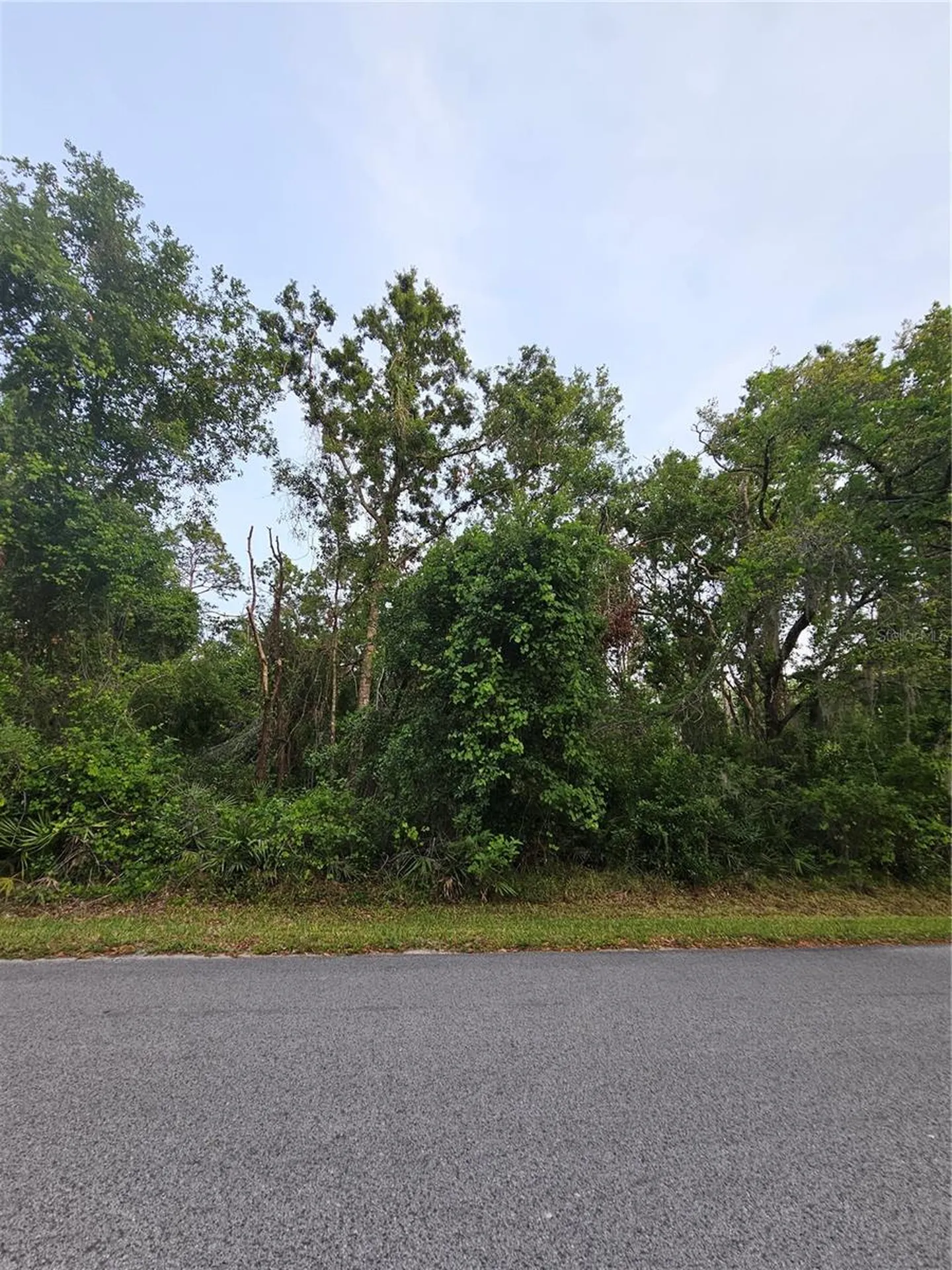 00 Gurnee Avenue New Port Richey FL 34654