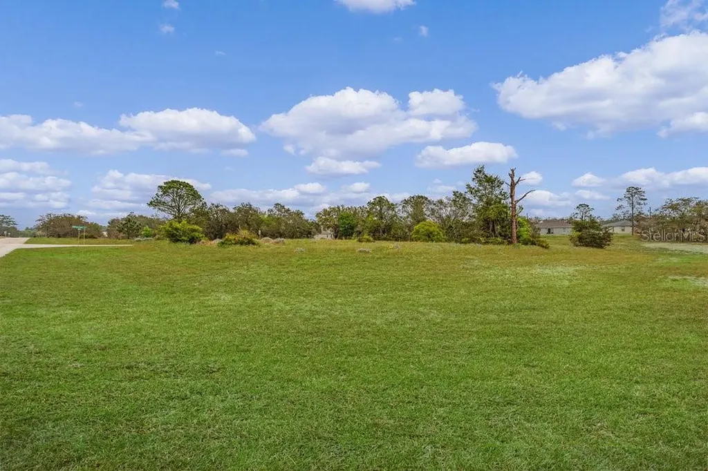 1405 Hillsborough Drive Poinciana FL 34759