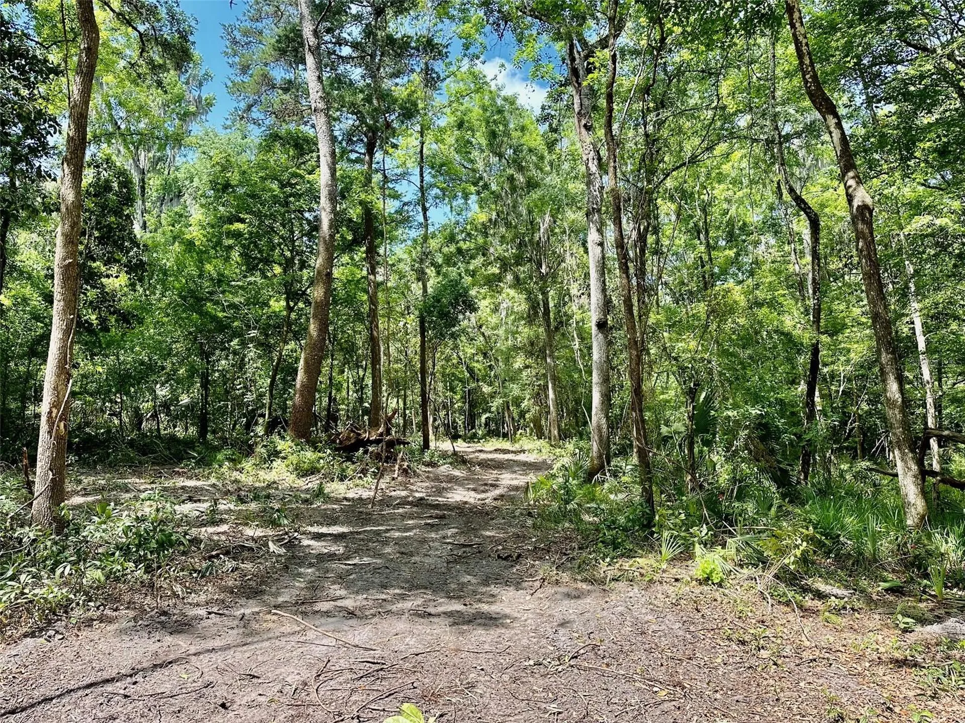12100 NW Us Highway 441 Gainesville FL 32653