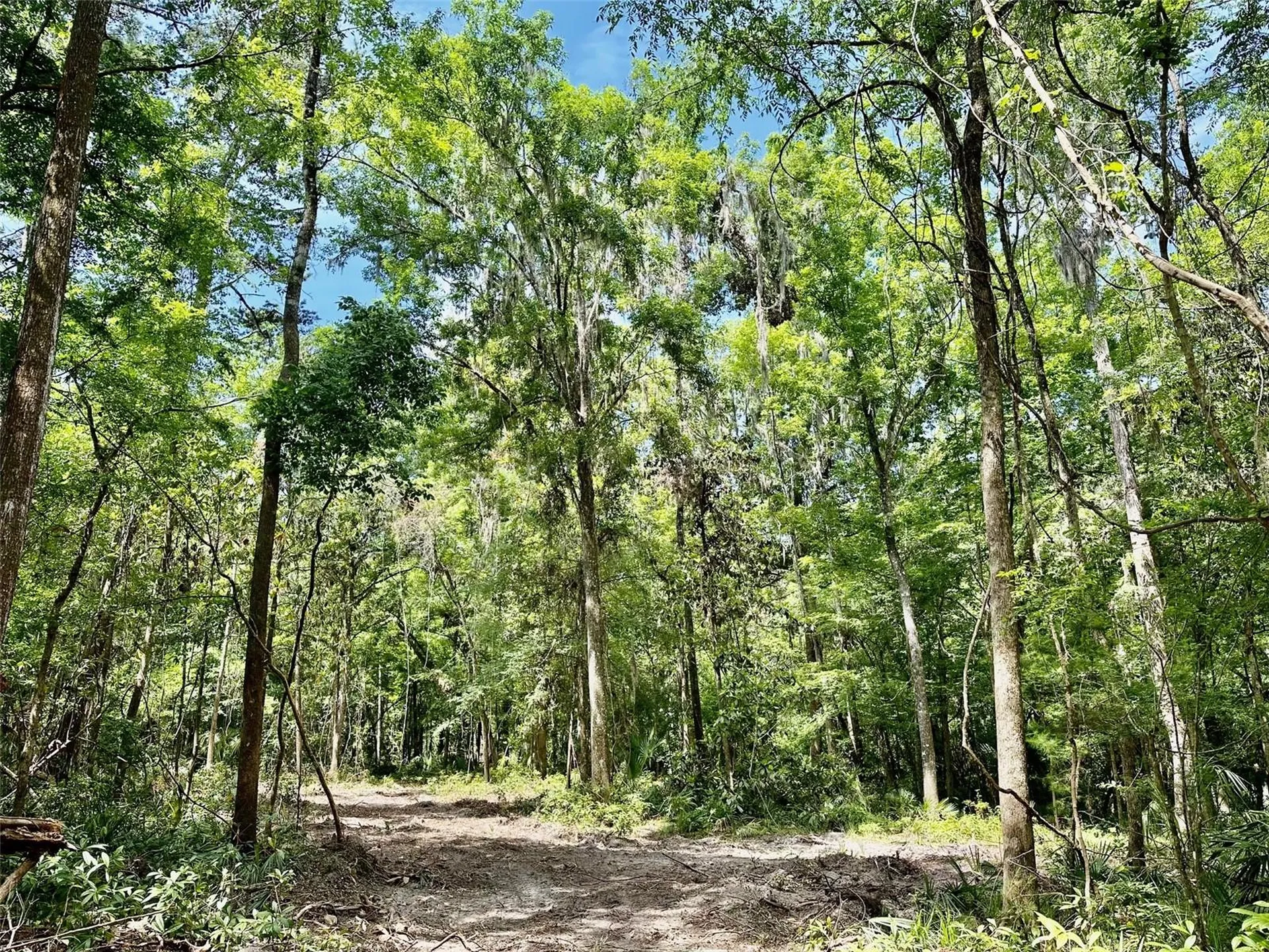 12100 NW Us Highway 441 Gainesville FL 32653