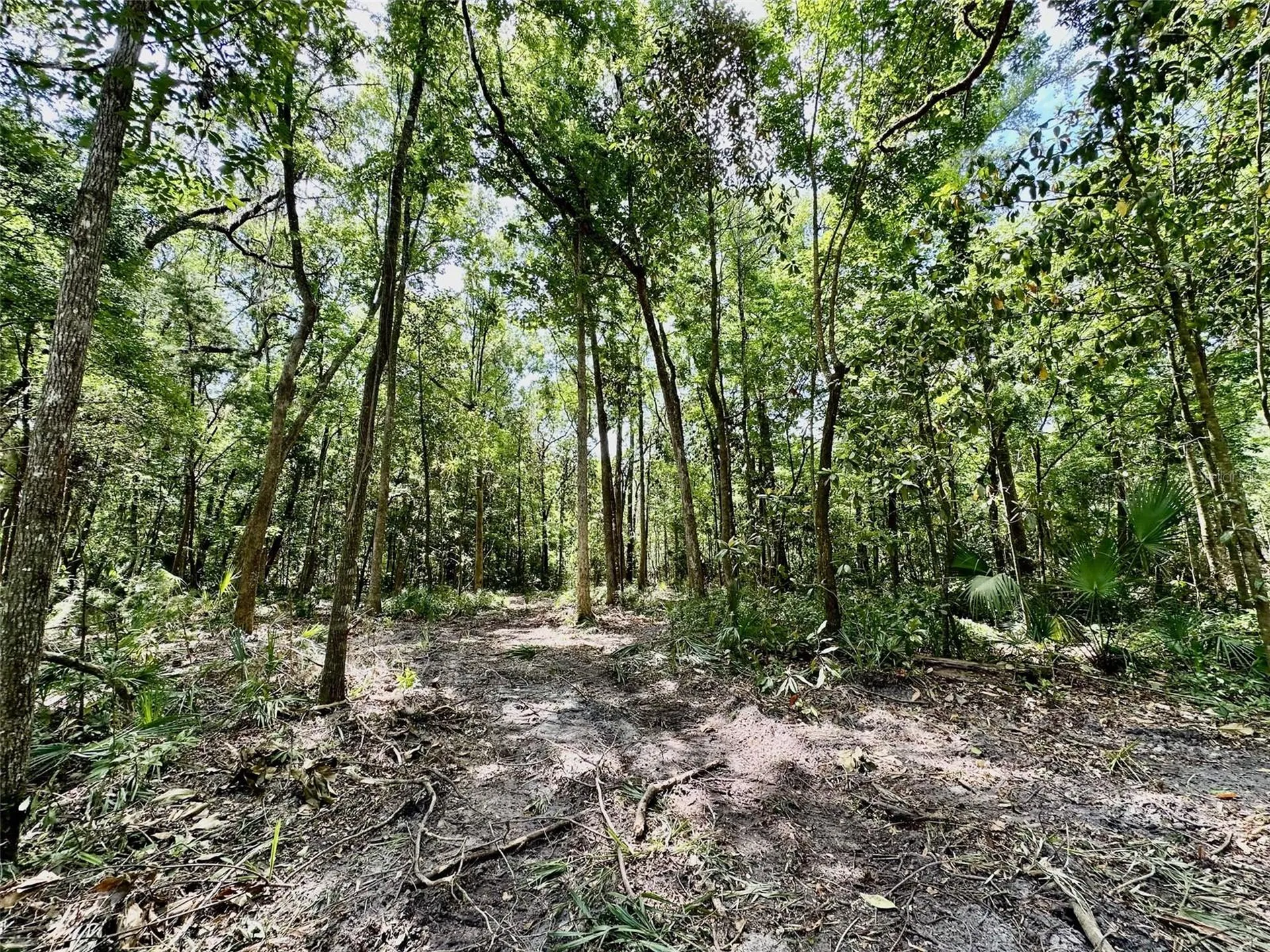 12100 NW Us Highway 441 Gainesville FL 32653