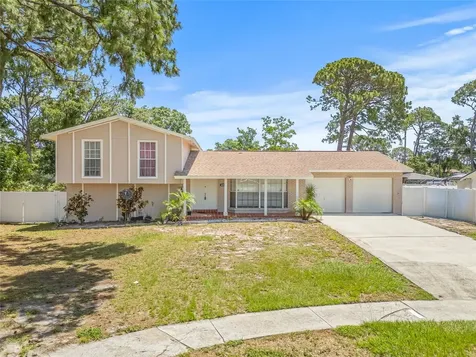 6607 Larimer Drive Tampa FL 33615