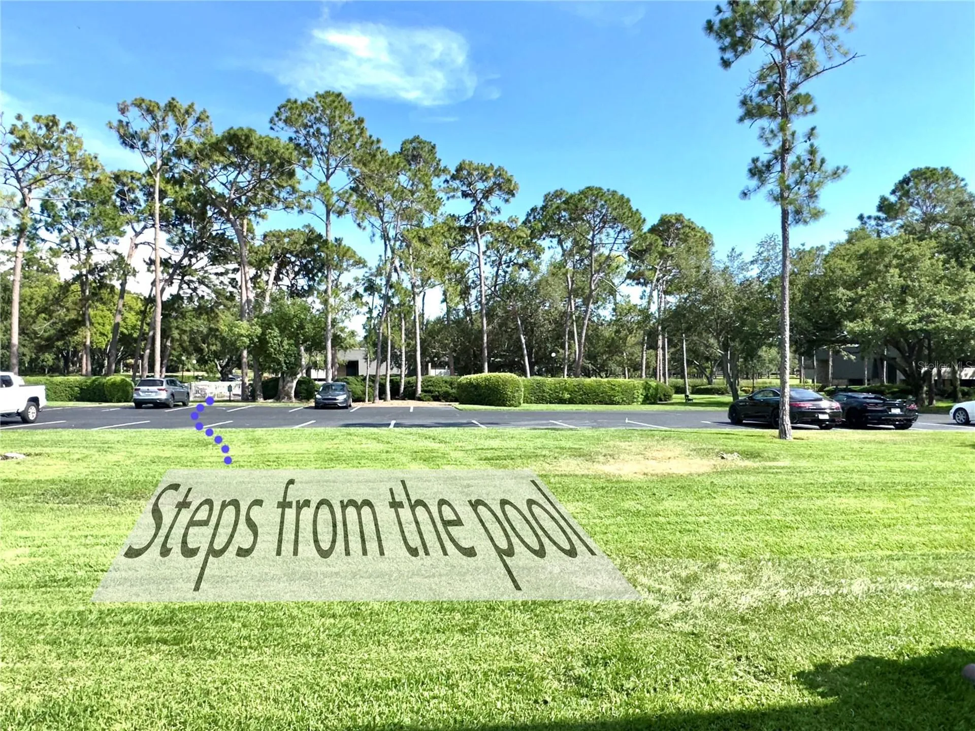 36750 Us 19 Highway N Palm Harbor FL 34684