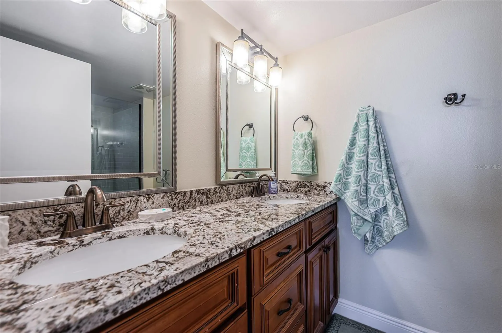 6081 Bahia Del Mar Circle St Petersburg FL 33715