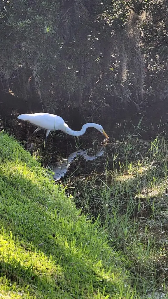 89 Whipporwill Court Ellenton FL 34222