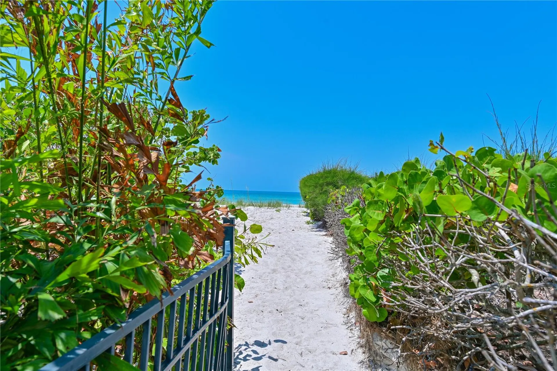5924 Gulf Of Mexico Drive Longboat Key FL 34228
