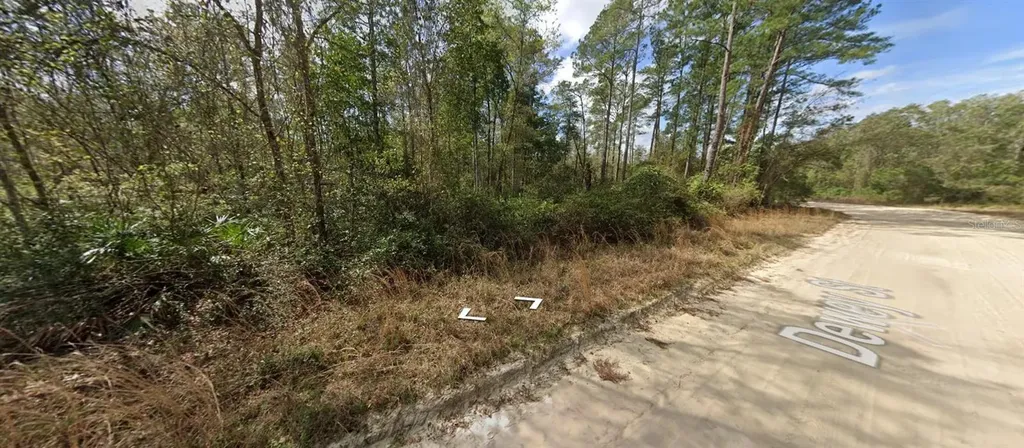 Block 246 Lot 3 Interlachen FL 32148