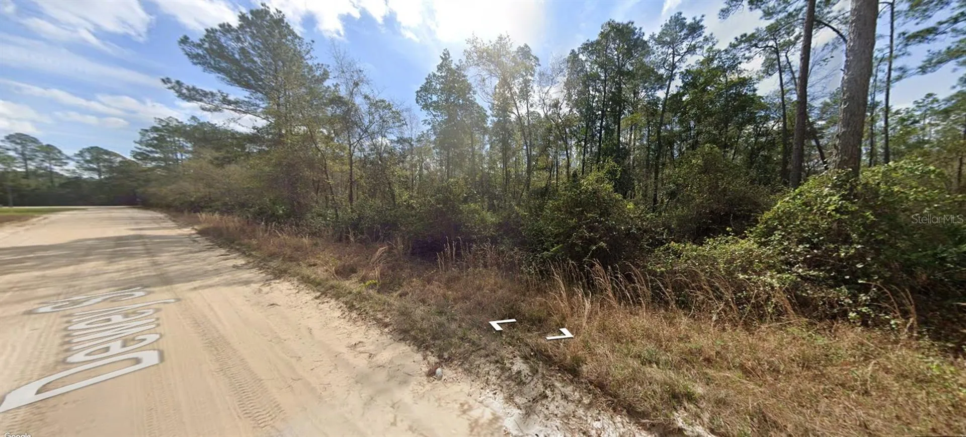 Block 246 Lot 3 Interlachen FL 32148