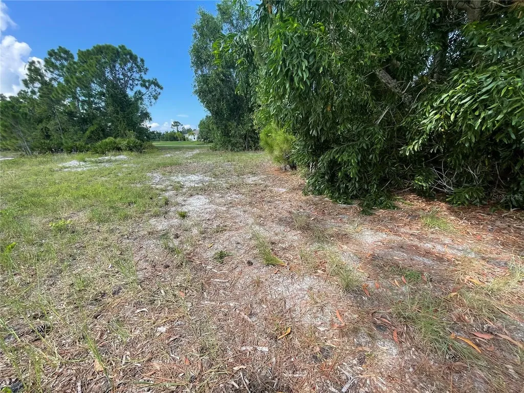 4513 NW 34th Place Cape Coral FL 33993