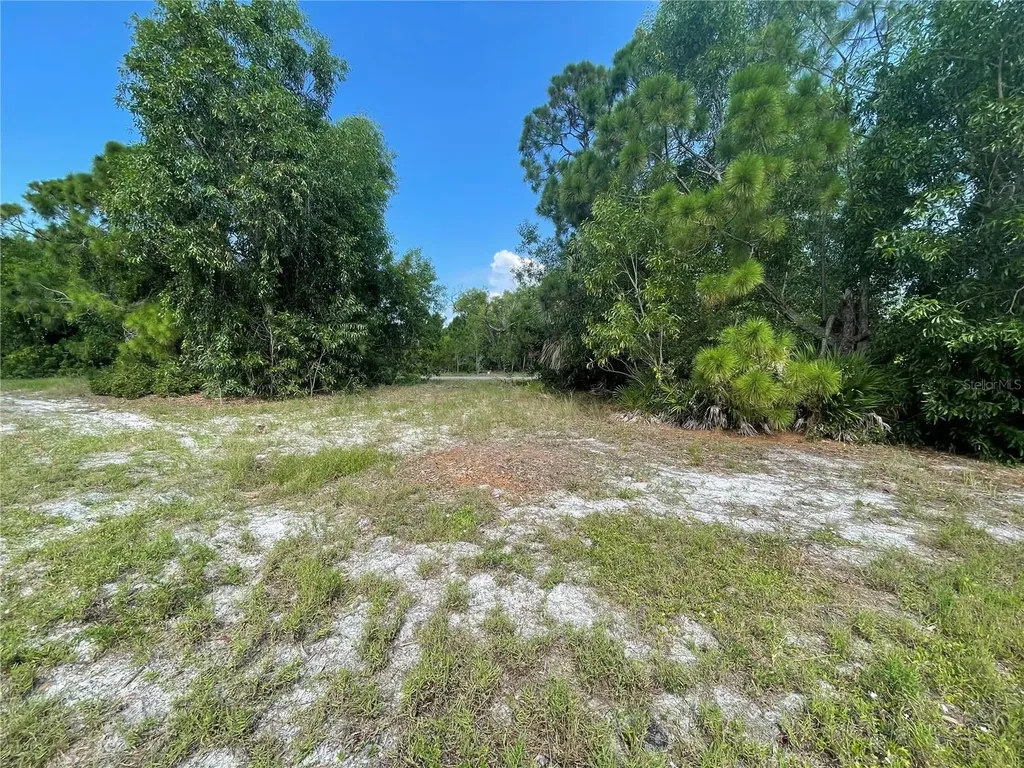 4513 NW 34th Place Cape Coral FL 33993