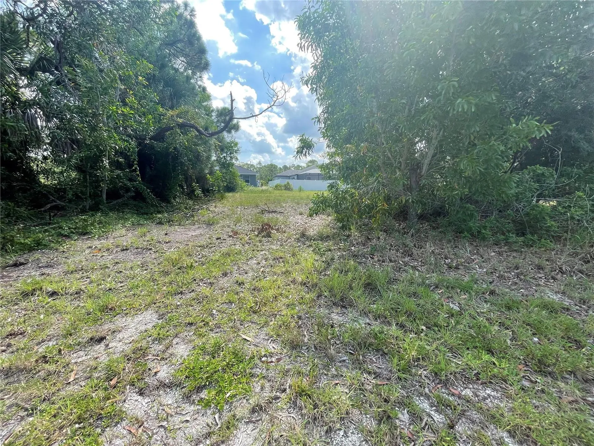 4513 NW 34th Place Cape Coral FL 33993