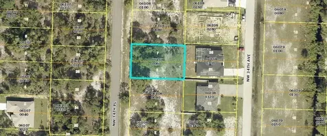 4513 NW 34th Place Cape Coral FL 33993