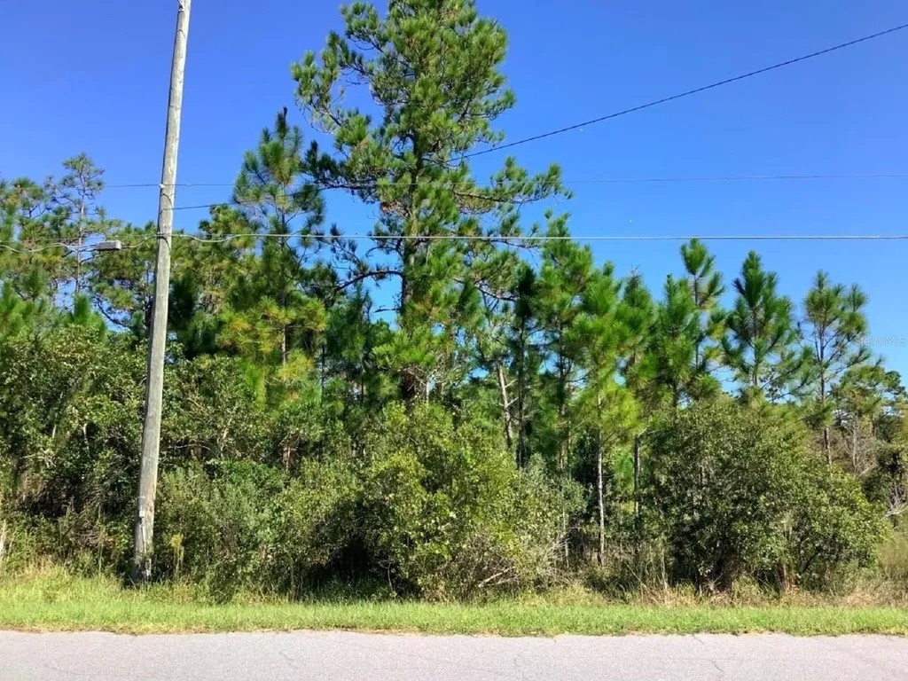00000 Sheldon Street Orlando FL 32833