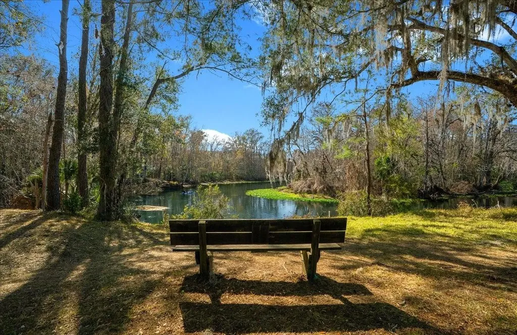2929 NE 101st Terrace Silver Springs FL 34488
