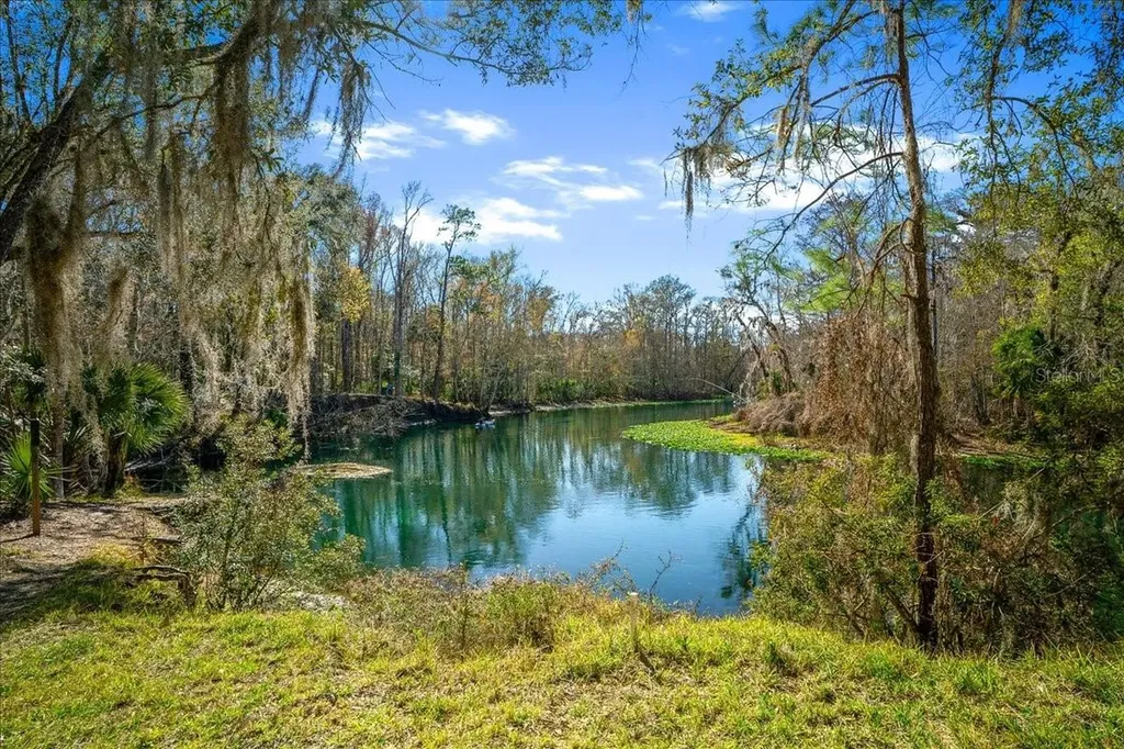 2929 NE 101st Terrace Silver Springs FL 34488