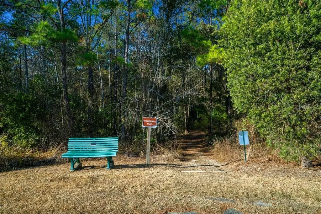 2929 NE 101st Terrace Silver Springs FL 34488