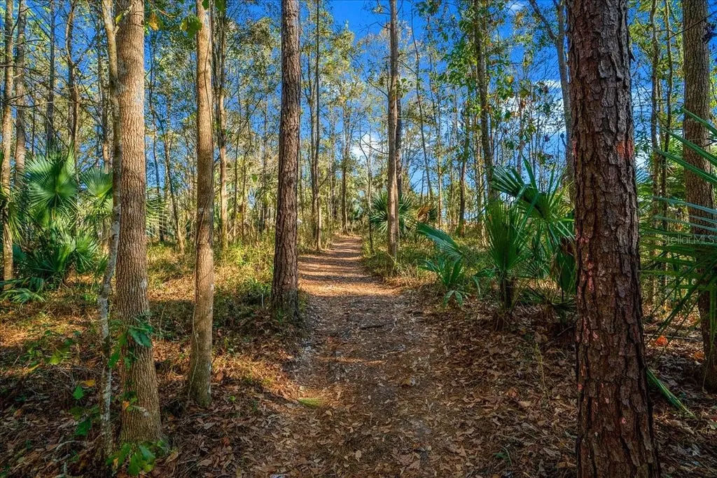 2929 NE 101st Terrace Silver Springs FL 34488