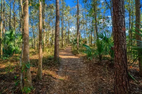 2929 NE 101st Terrace Silver Springs FL 34488