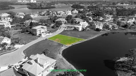 85 Sandpiper Pointe Court Tarpon Springs FL 34689