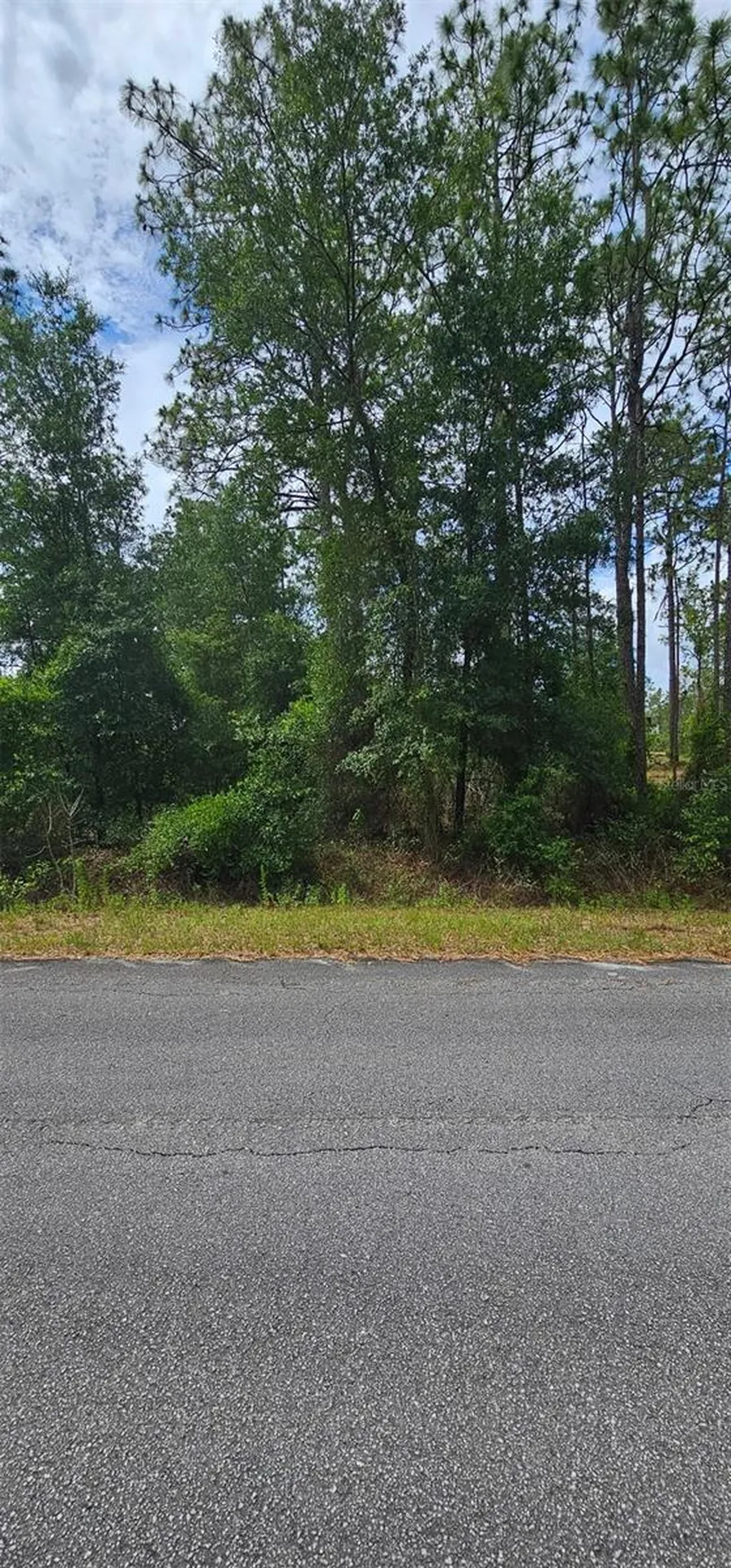 0 NW Aspen Lane Dunnellon FL 34431
