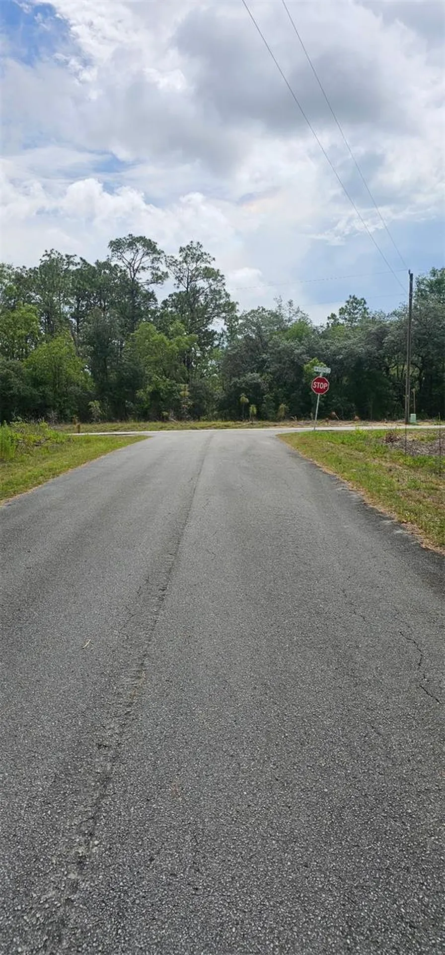 0 NW Aspen Lane Dunnellon FL 34431