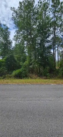 0 NW Aspen Lane Dunnellon FL 34431
