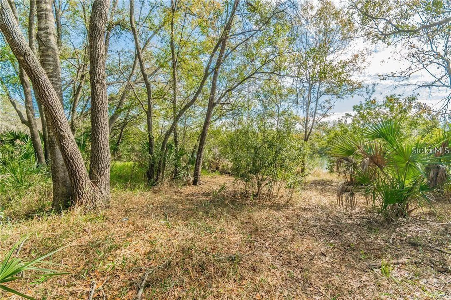 12102 Parkwood Street Hudson FL 34669