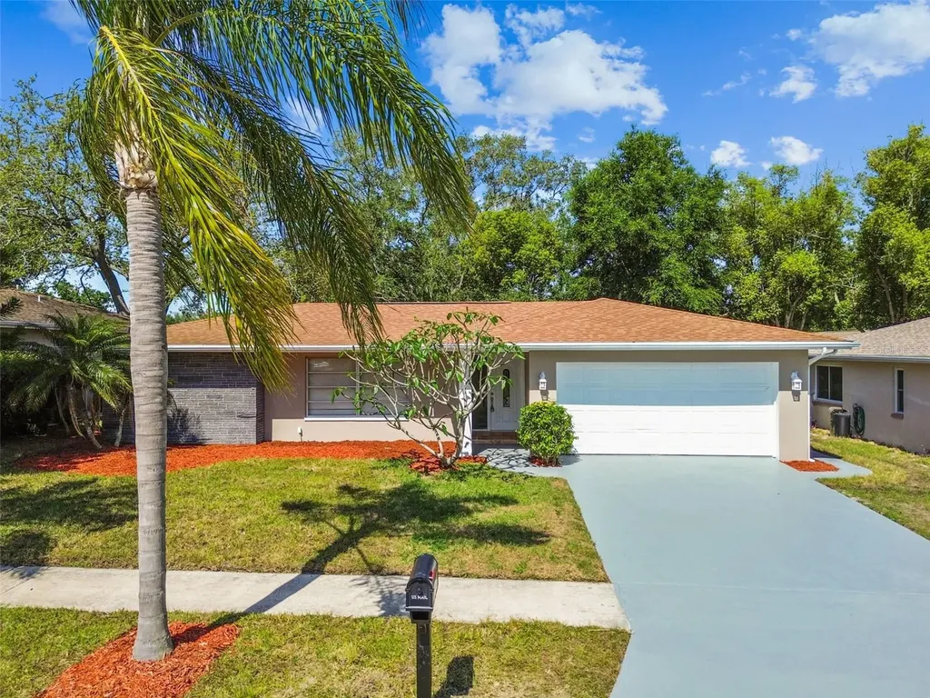 3249 Parkway Place Palm Harbor FL 34684