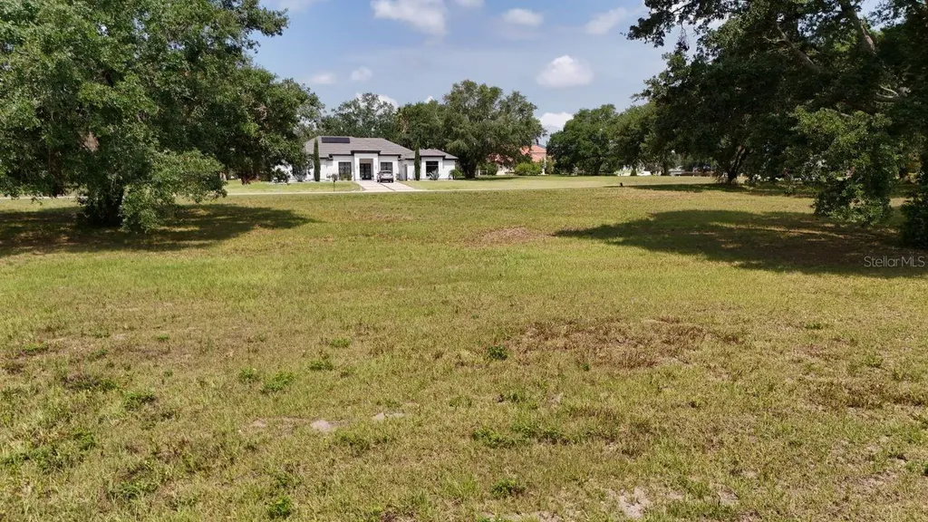 Royal Palm Drive Groveland FL 34736